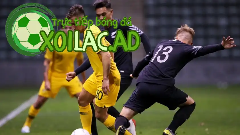 nz announcement 185505