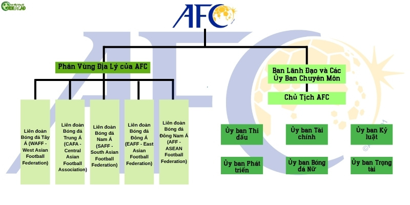 Sơ đồ cơ cấu tổ chức và phân vùng của AFC 